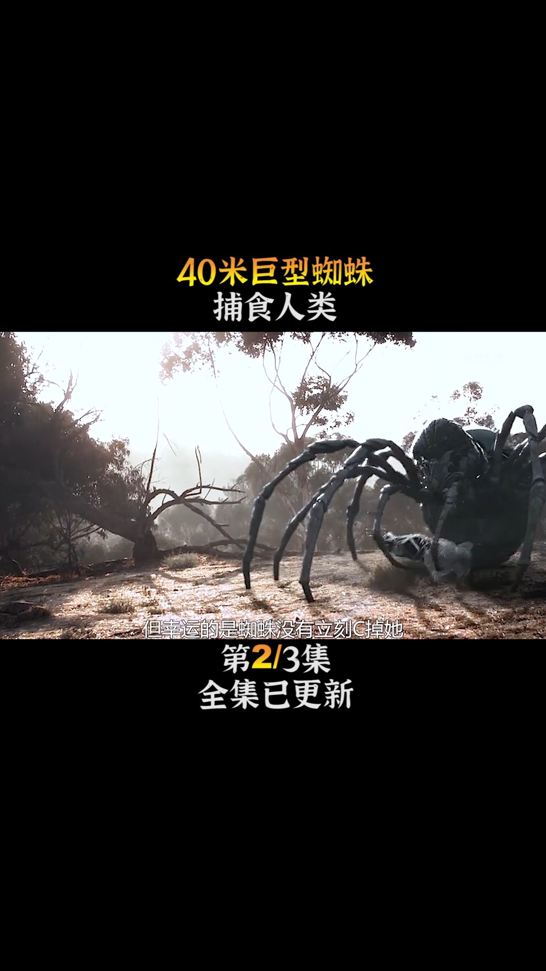 科幻电影《恶魔蜘蛛王》30米高的巨型蜘蛛入侵城市#电影 #解说 #娱乐