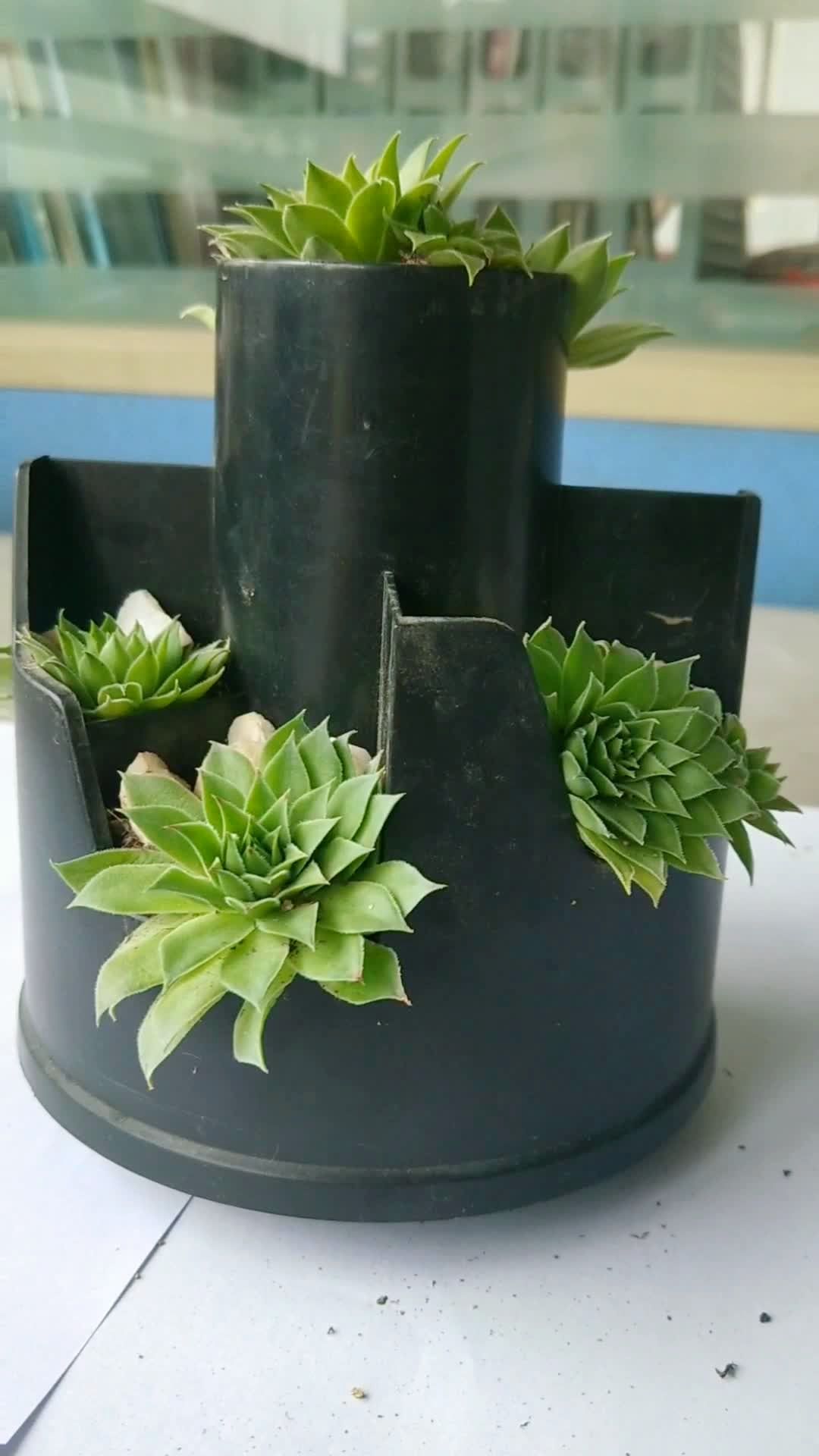 废物利用做了个花盆