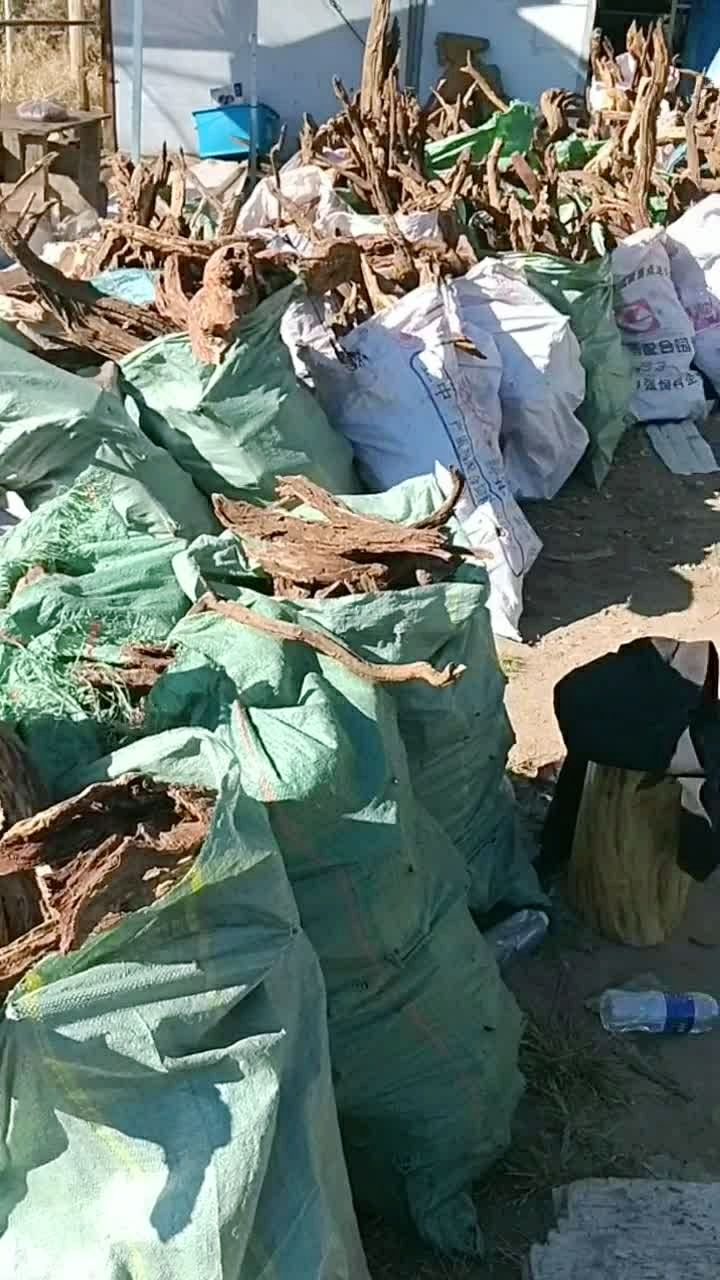 龙肝香全部打包回家存起,以后买不到了