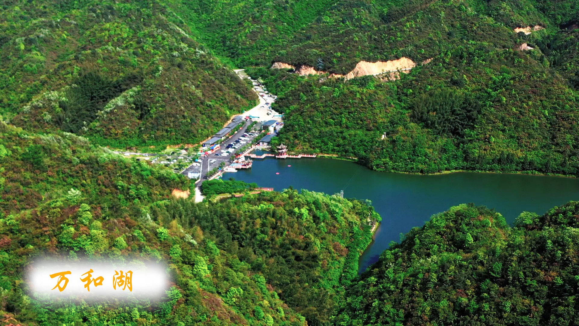 好玩好看就去阳明山