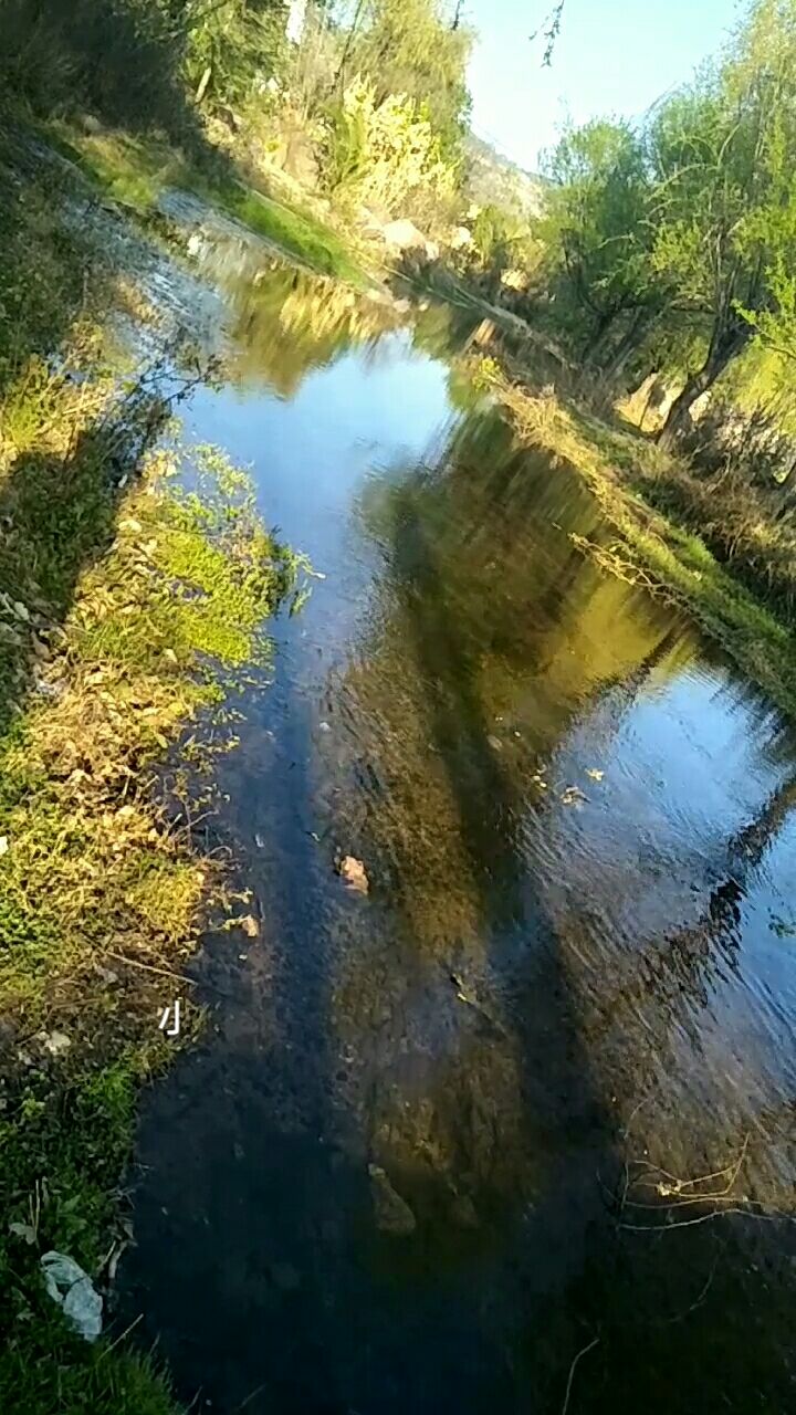 小河淌水的故乡弥渡