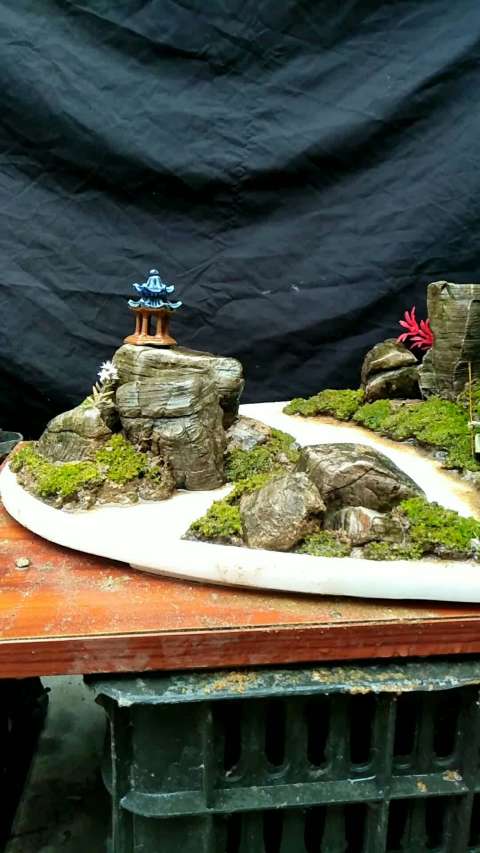 龟纹石山水盆景