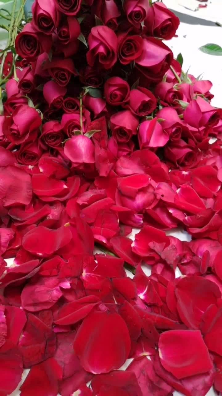 血红玫瑰的花语