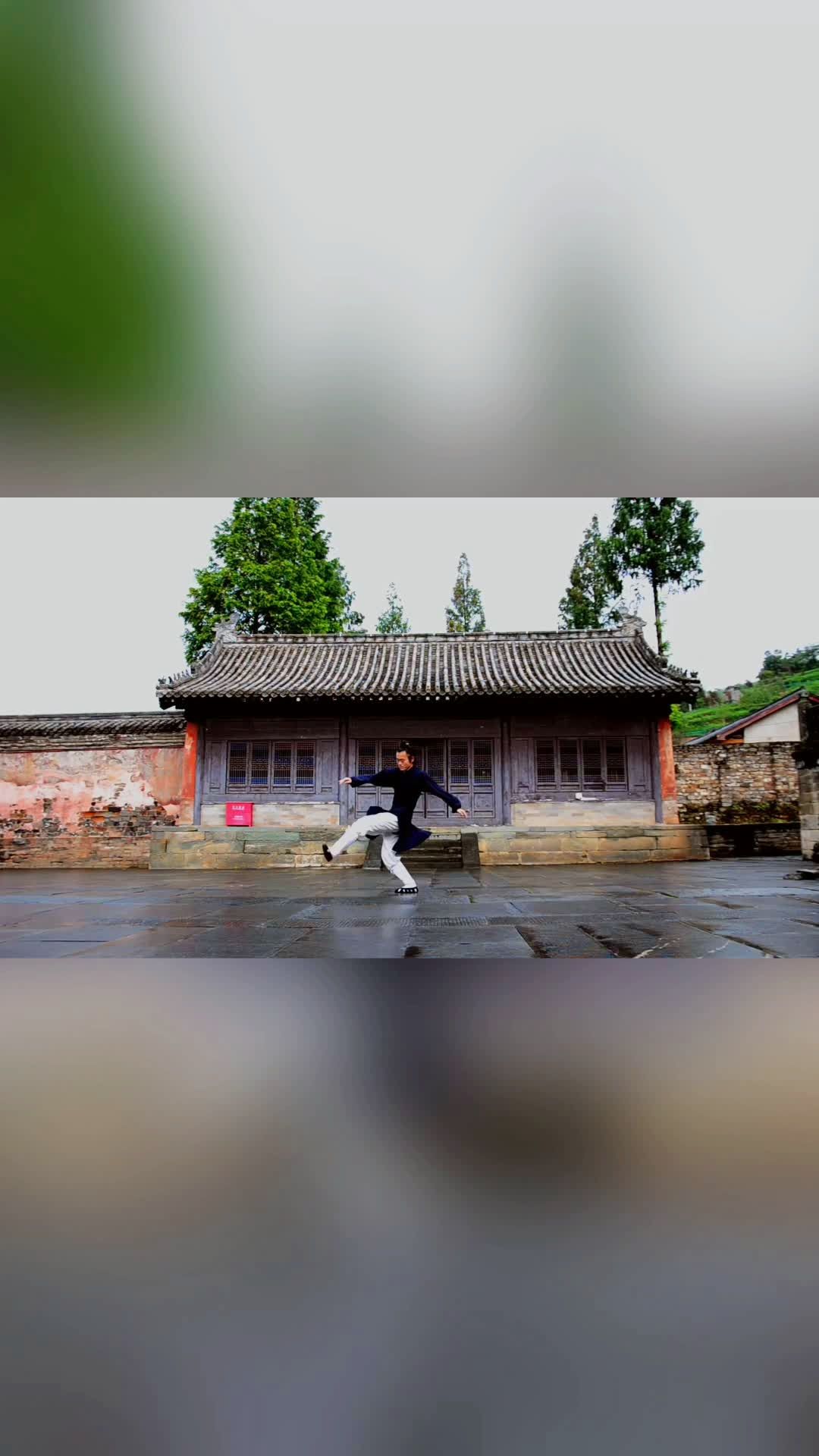 武当玄功拳系列