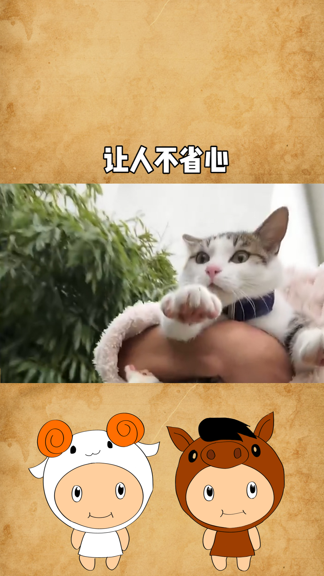 真是让人不省心啊