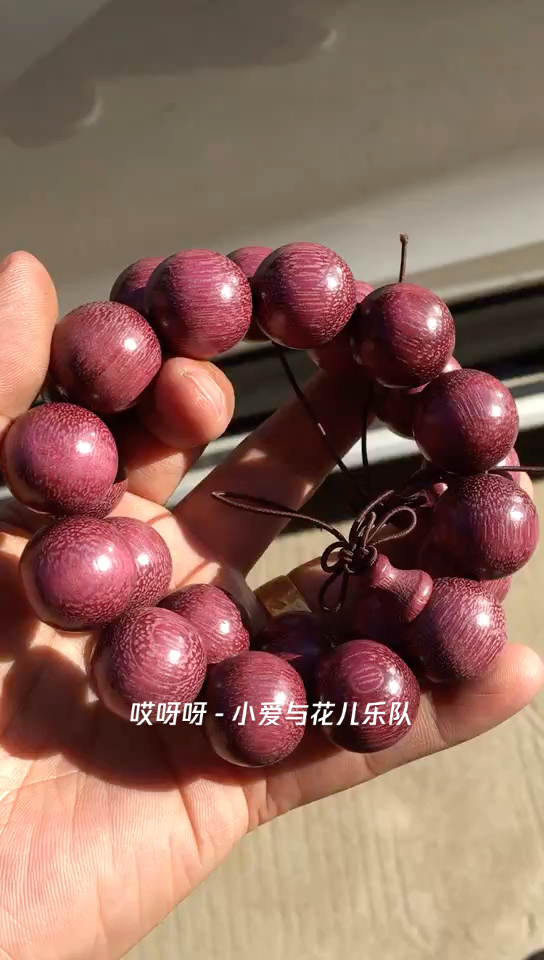 大自然的馈赠,巴西红玫瑰紫罗兰