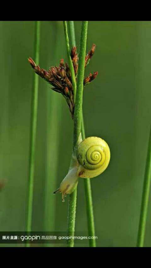 周末在家折腾这个"悬哒虫"希望孩子们喜欢