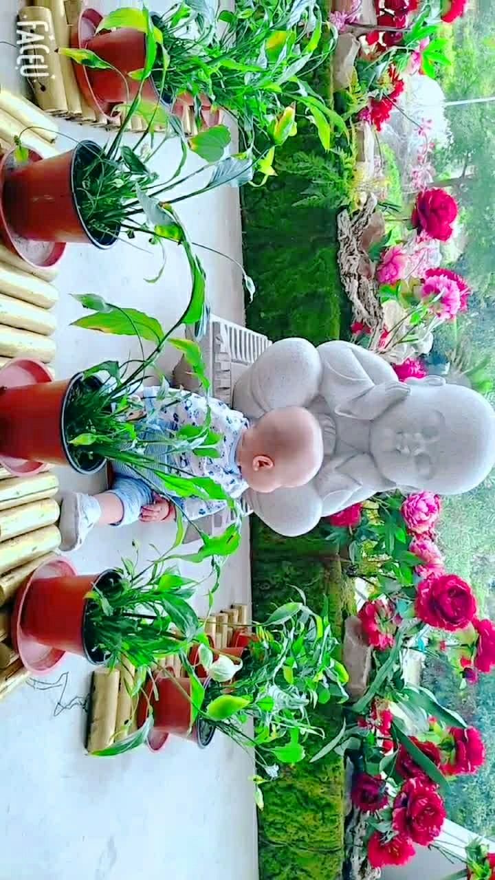 我们家的佛系宝宝,回头率爆表