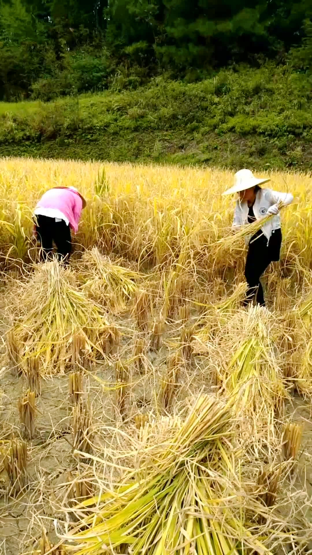 一边娱乐一边干活,农村的生活有苦也有乐