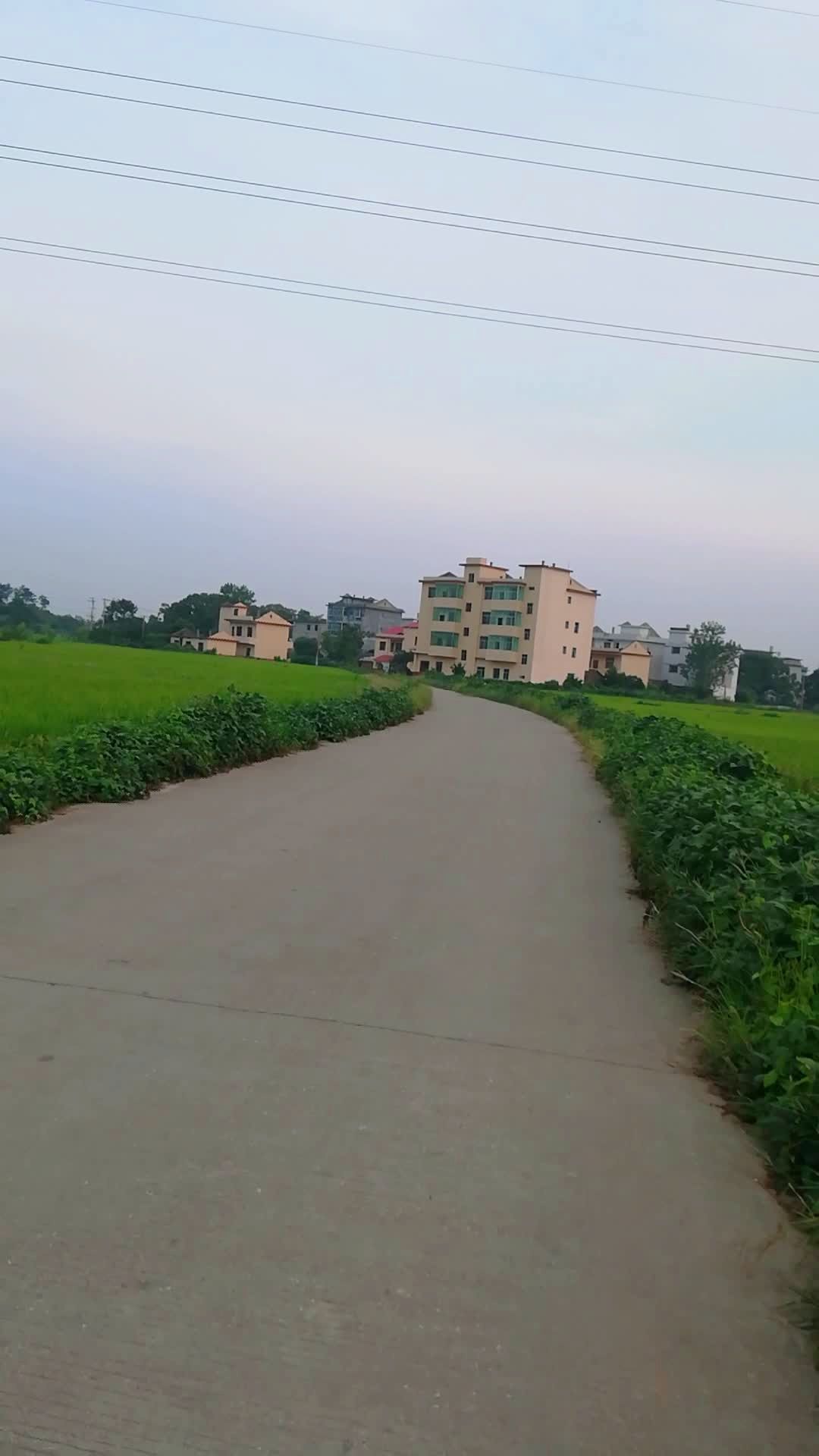 我的老家:江西省上高县泗溪镇农村