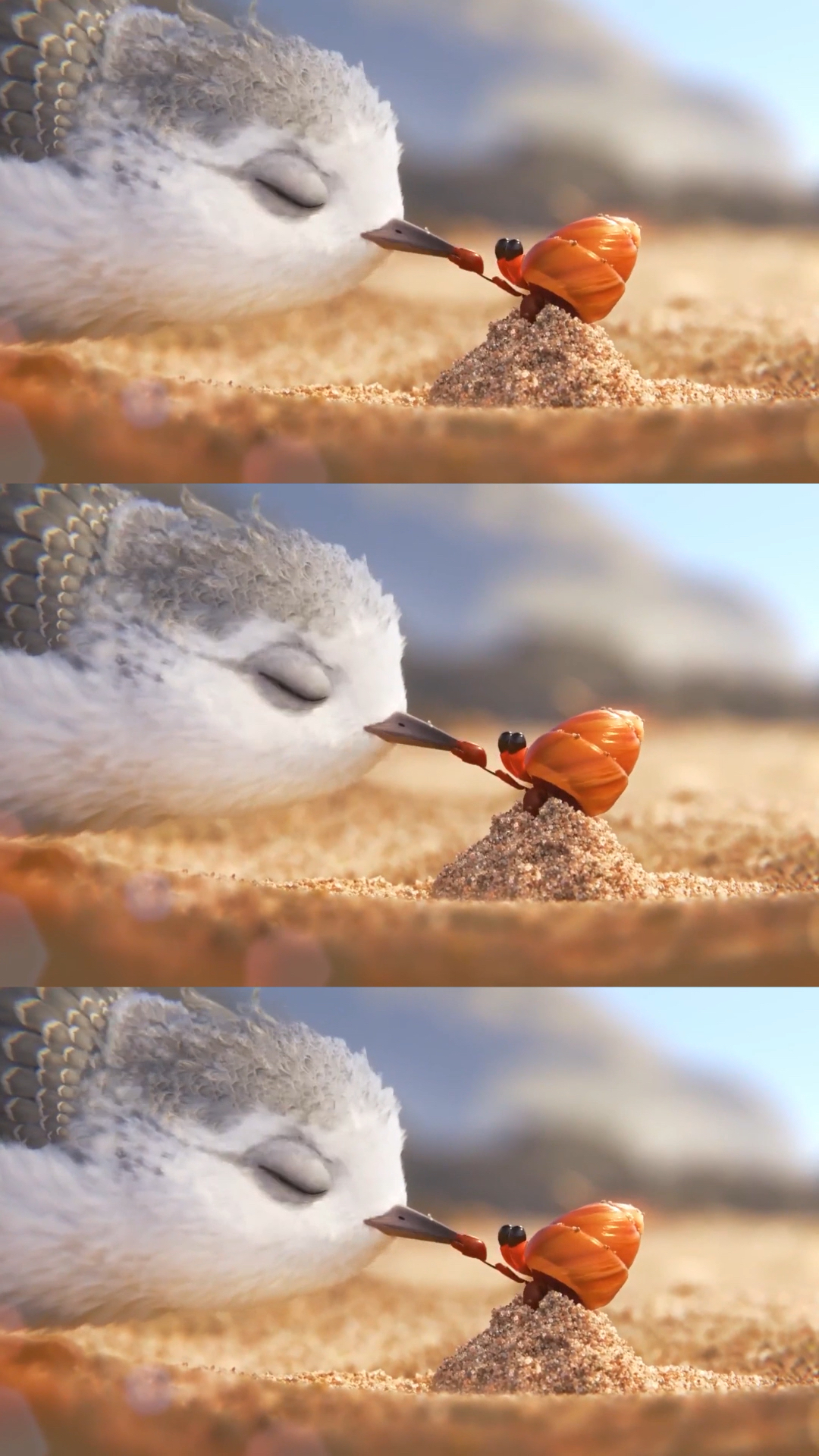 动漫萌物小鹬鸟动态壁纸,喜欢壁纸的别错过