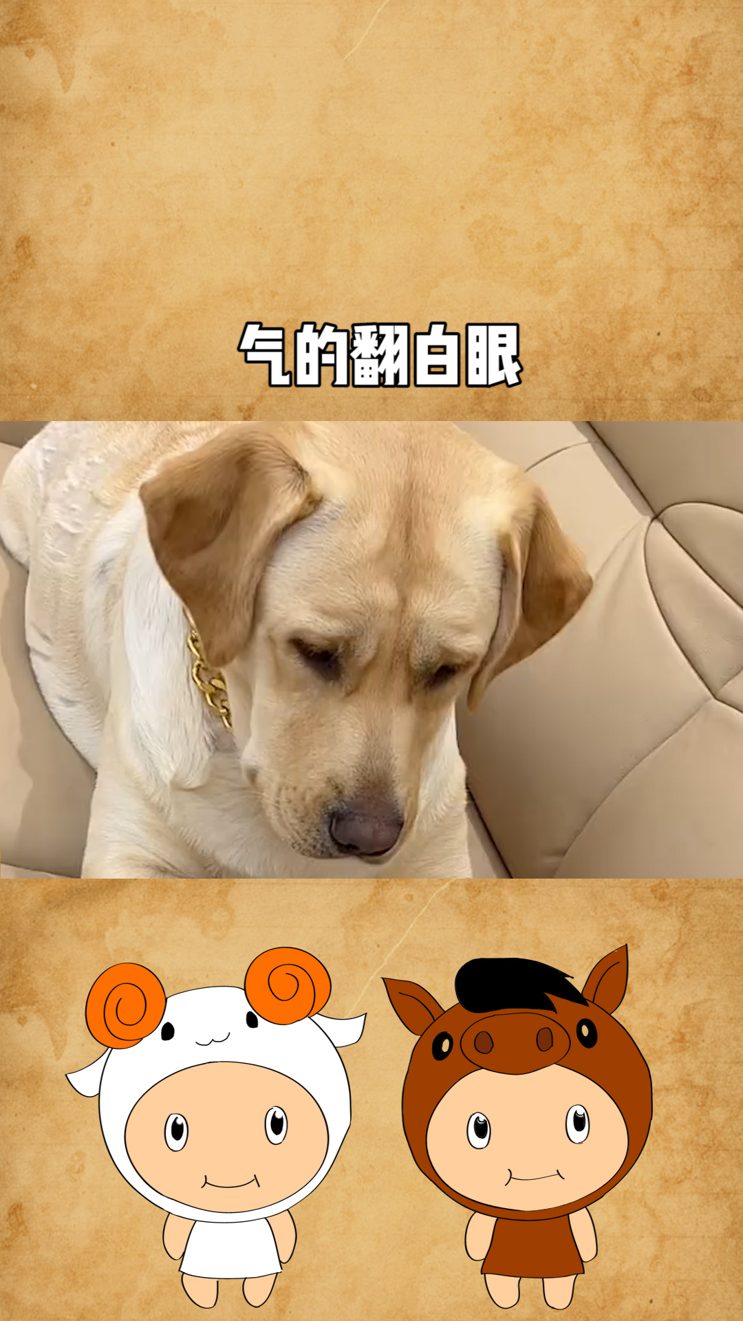 这狗子气的翻白眼