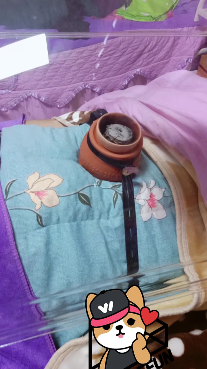 这个时间还有做脐灸 泥灸哒